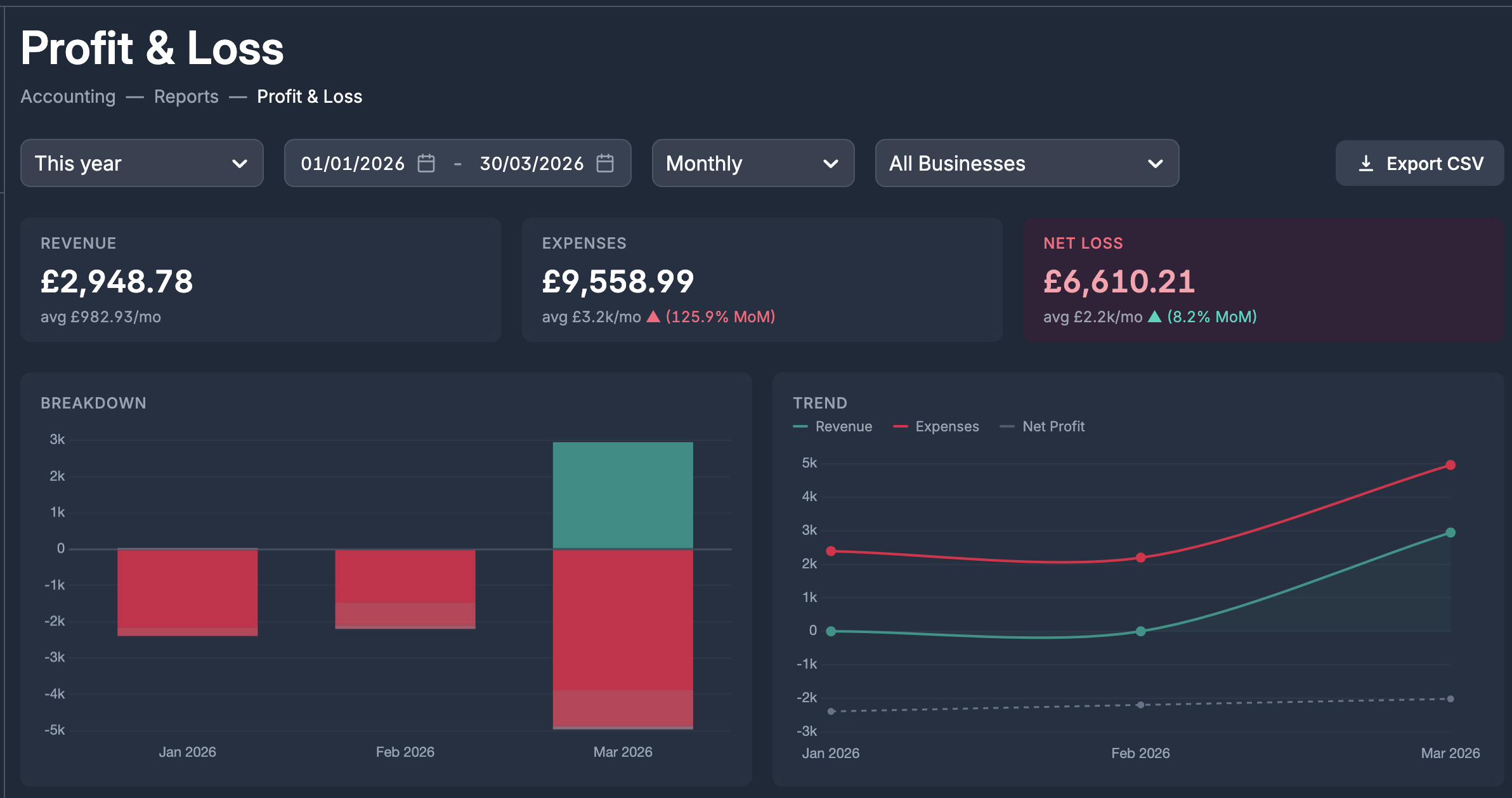 P&L and balance sheet reports in Briefcase One